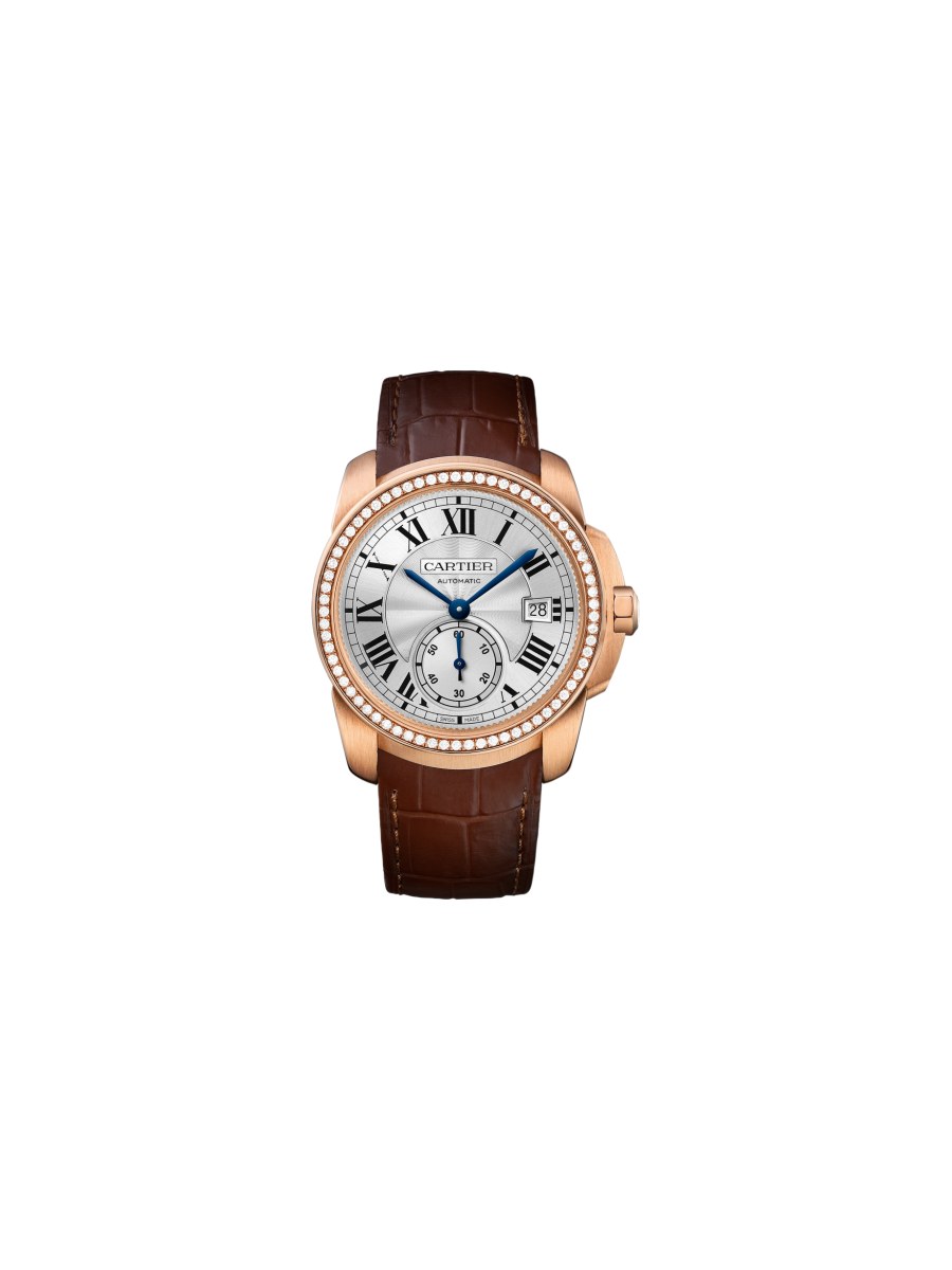 wf100013