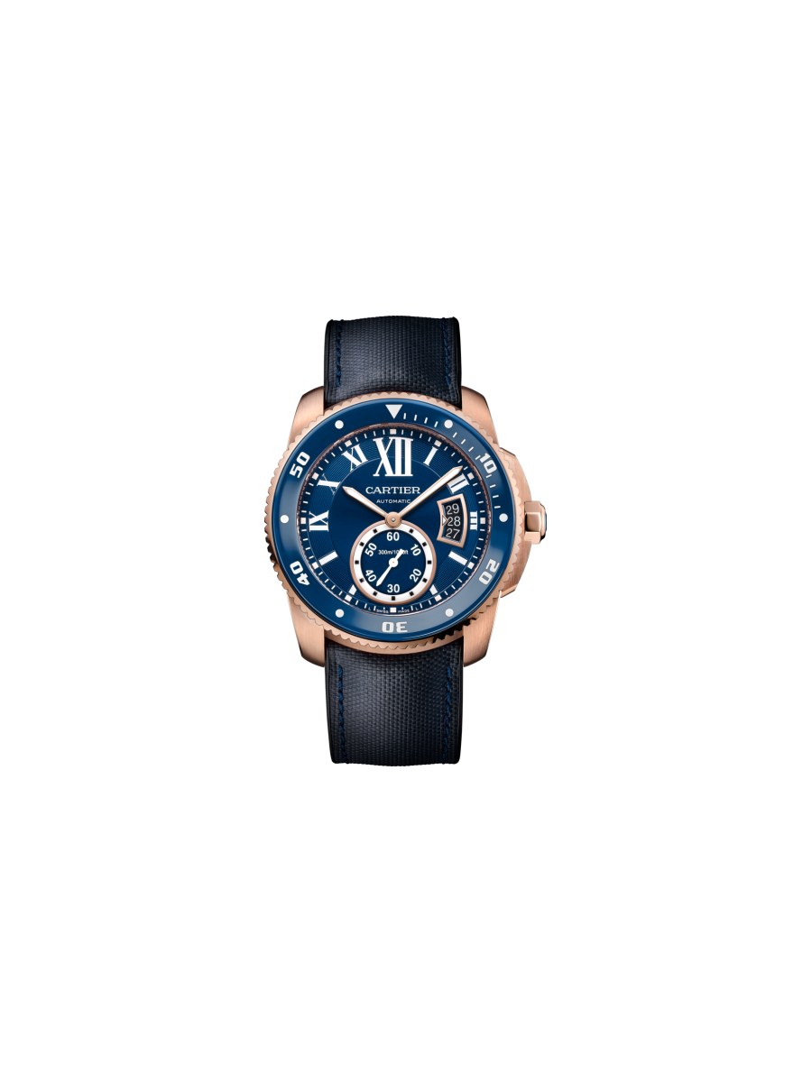 wgca0009
