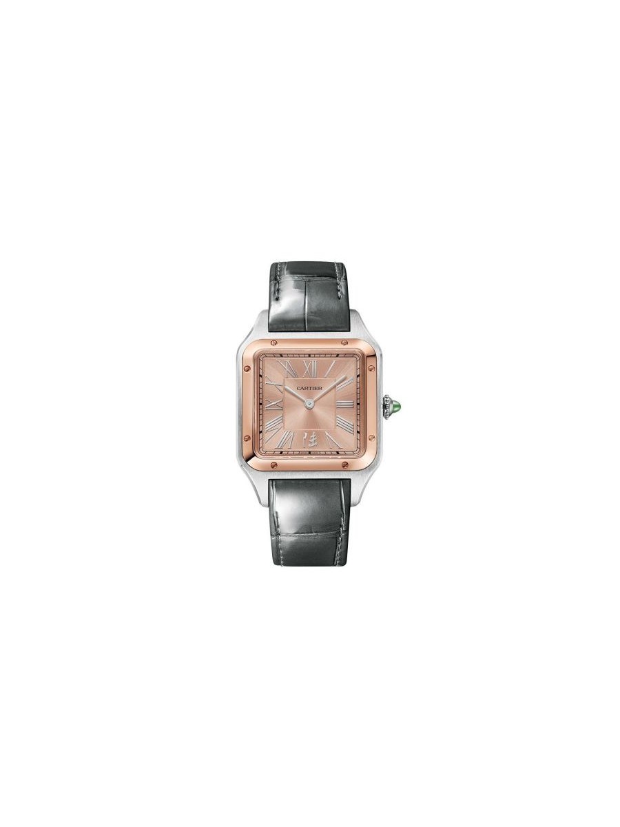 w2sa0027