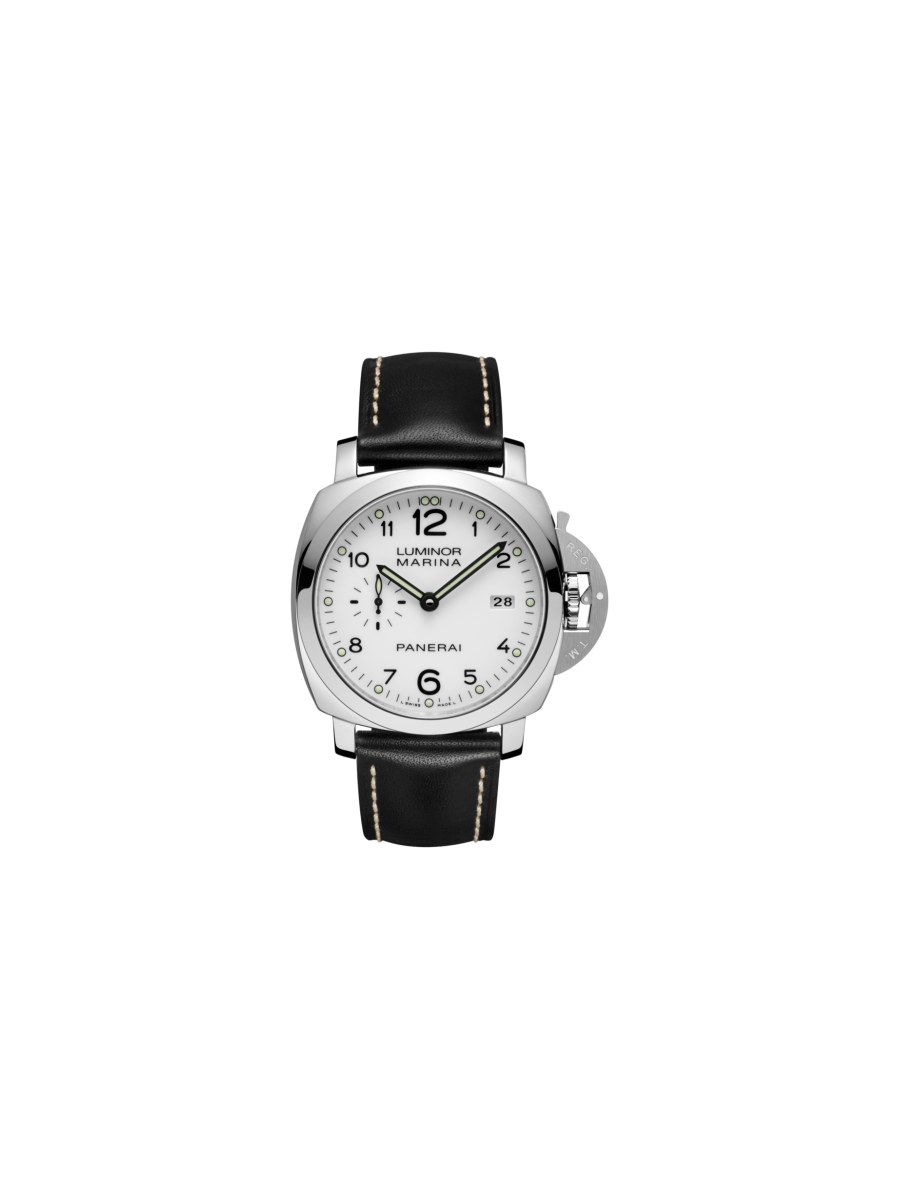 pam00499