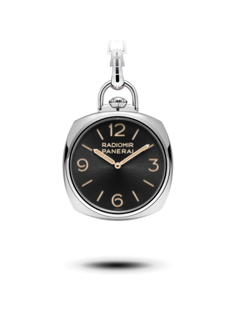 pam00529