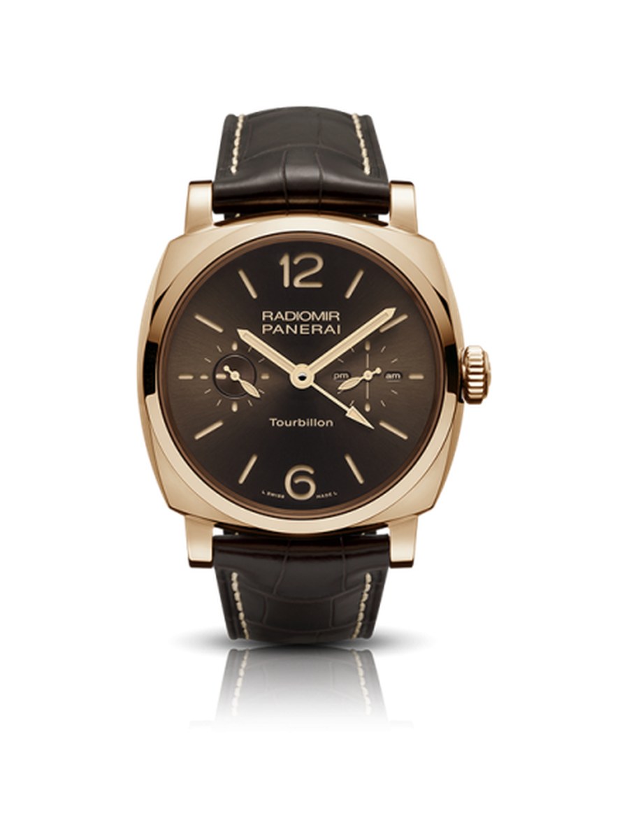 pam00558