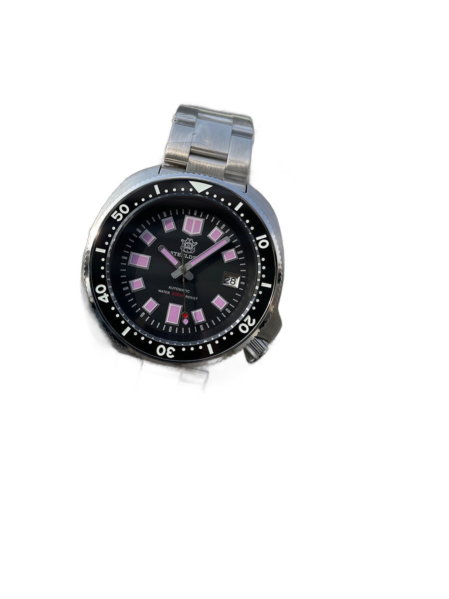 sd1975-turtle-diver